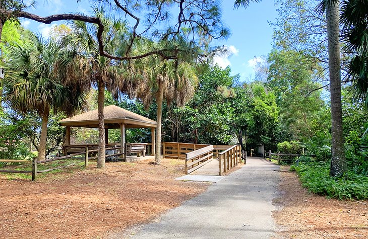 A picnic pavilion offers a shady respite in Constitution Park.