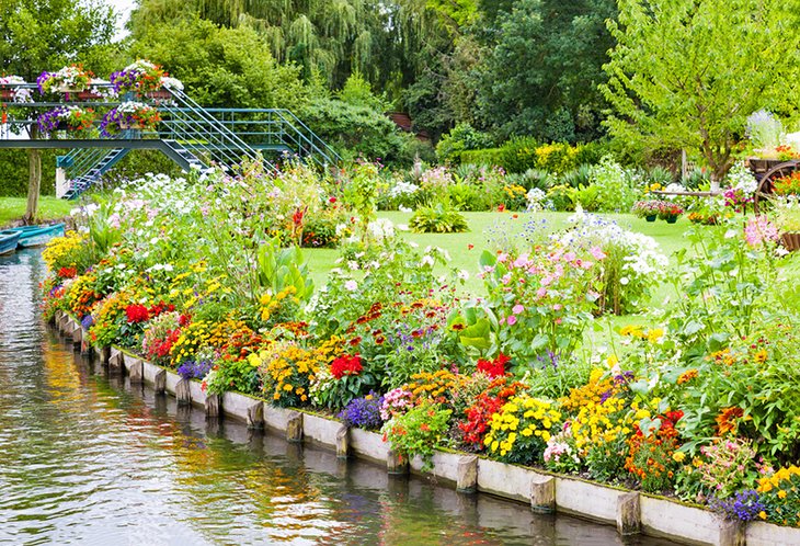 Les Hortillonnages (Marsh Gardens)