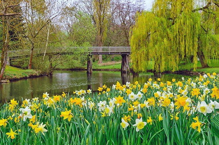 University of Brunswick Botanical Garden