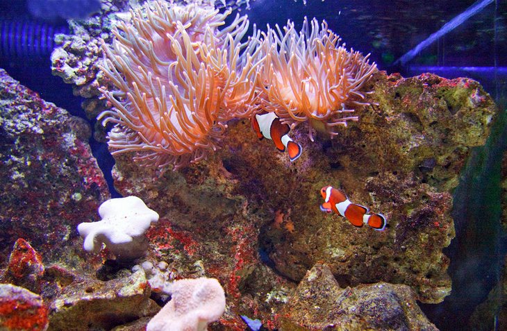 SEA LIFE Oberhausen