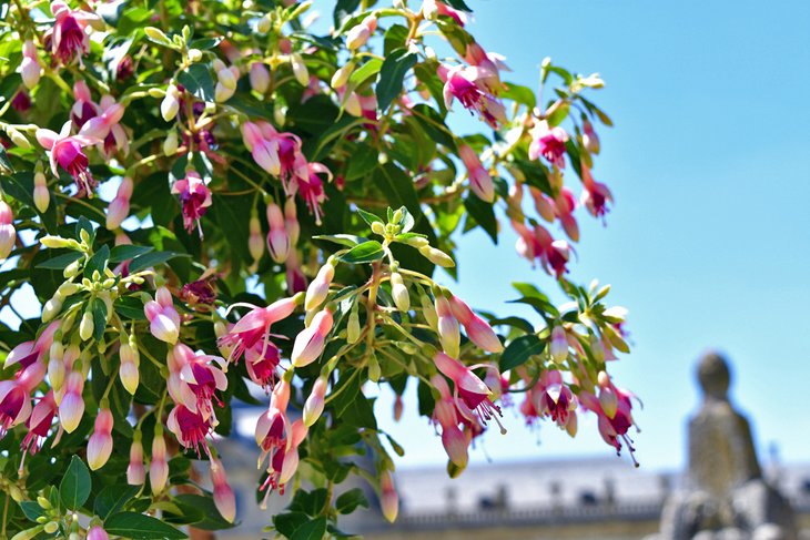 Botanical Gardens in Wurzburg