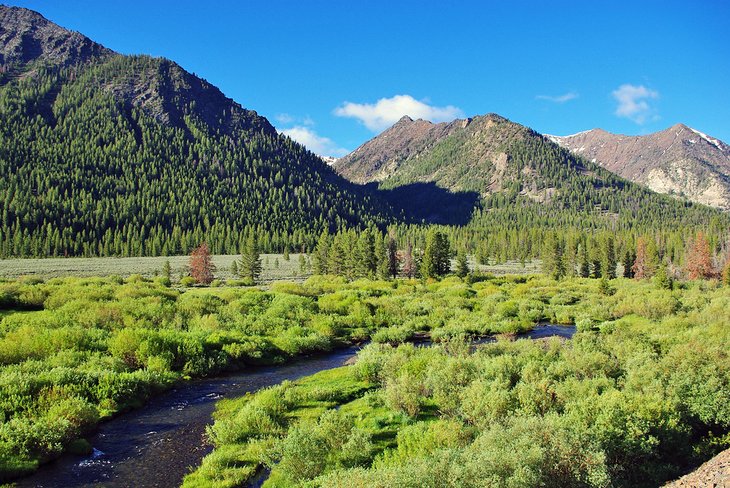 Salmon Challis National Forest, Idaho