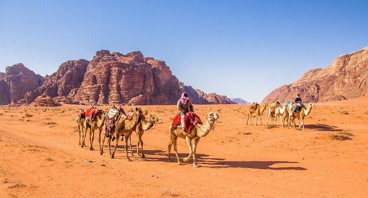 Camels in majestic Wadi Rum, aka Valley of the Moon
