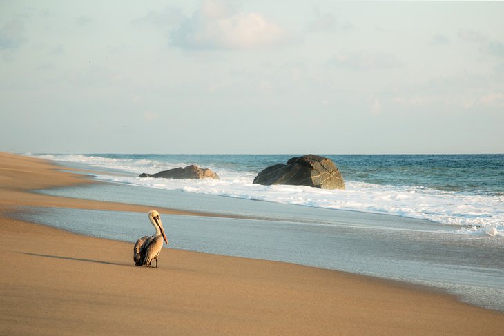 10 mejores playas de Oaxaca