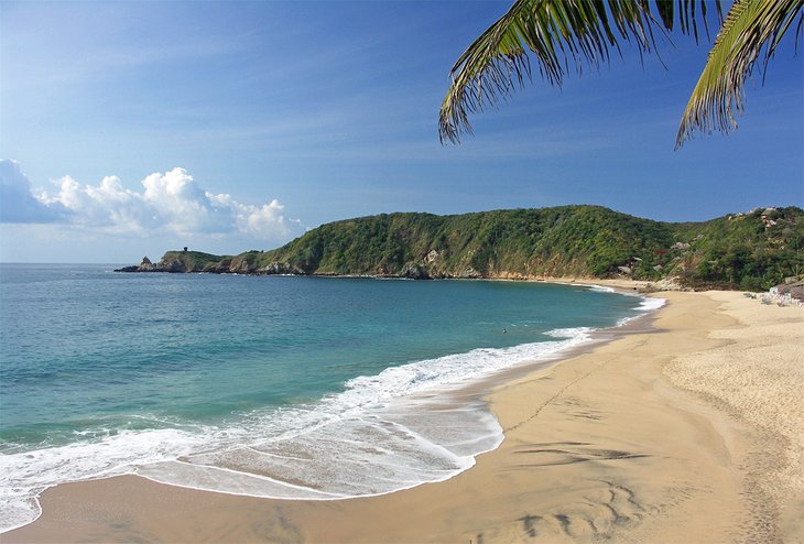 indgang Skinnende damper 11 Best Beaches in Oaxaca | PlanetWare