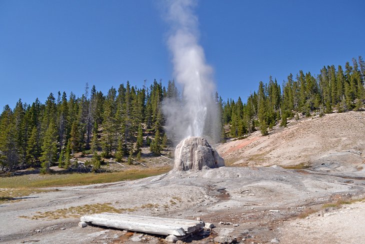 Lone Star Geyser in Yellowstone National Park