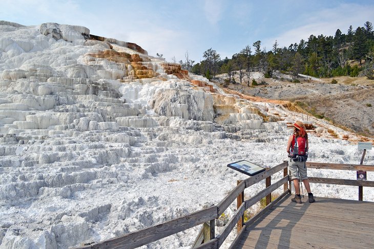 Travertine Terrace at Mammoth Hot Springs