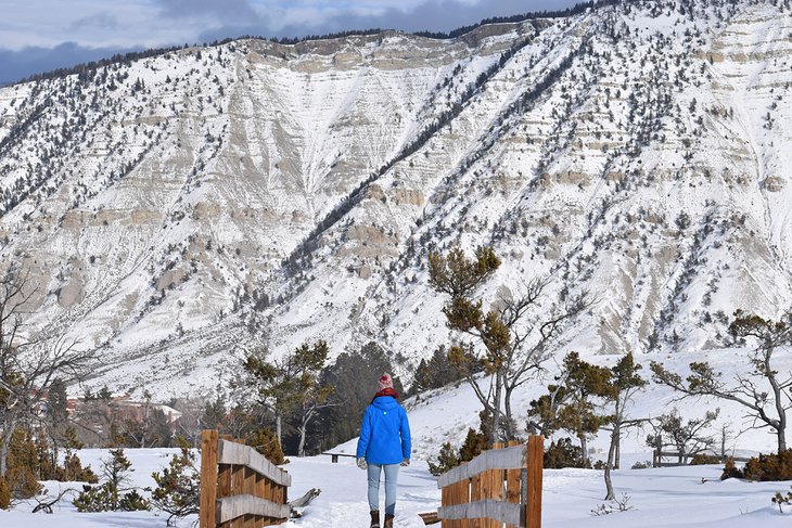 Yellowstone in winter