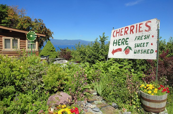 Cherry stand near Polson