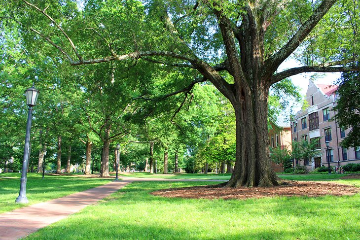 Université de Caroline du Nord à Chapel Hill
