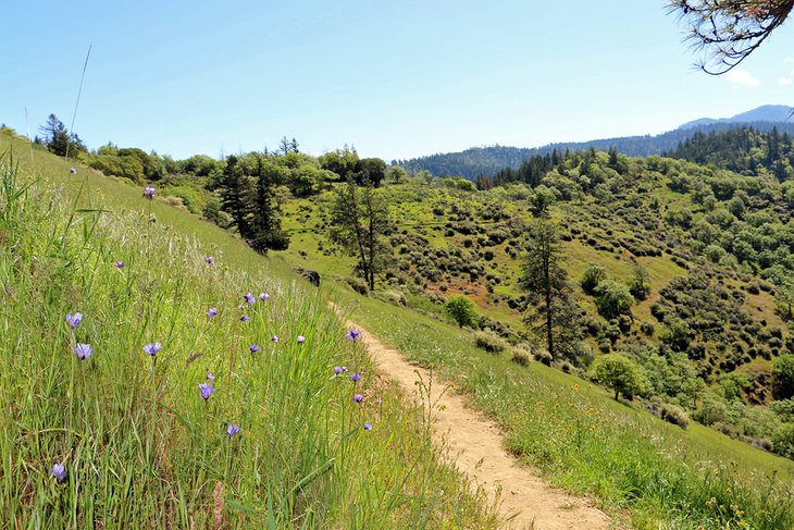 East Applegate Ridge Trail near Jacksonville