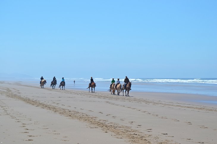 Horseback riding on the beach at Nehalem Bay State Park