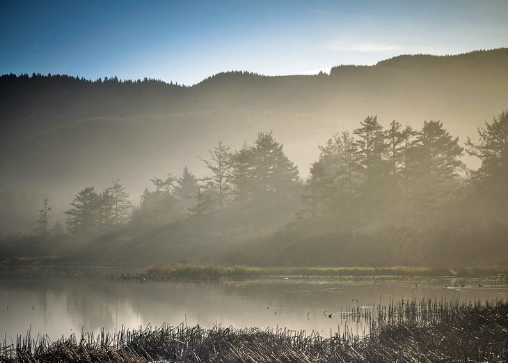 Morning fog over Lake Lytle