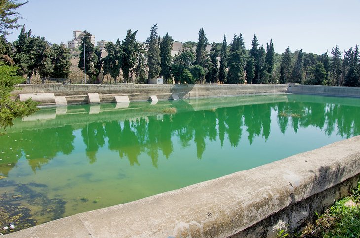 Solomon's Pools