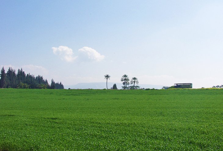 Lush fields at the kibbutz of Degania
