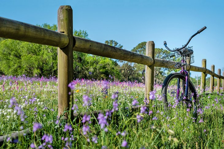 Sea Pines Forest Preserve