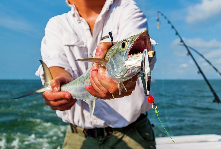 Spanish mackerel caught off South Carolina