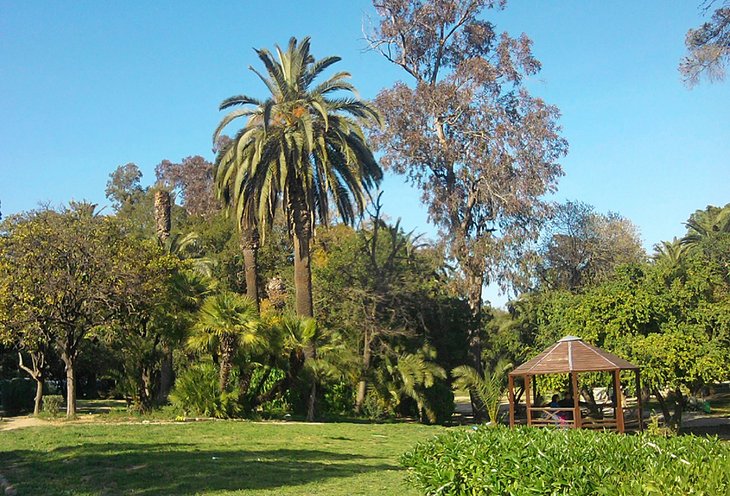 Belvedere Park in Tunis