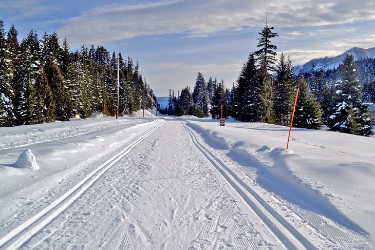 Cross-country skiing at Hyak Sno-Park
