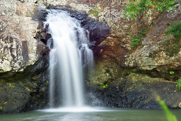 Kondalilla Falls