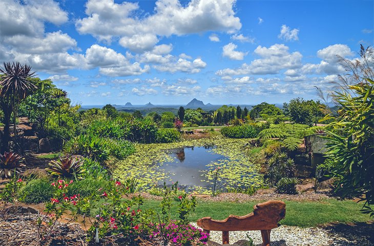 Maleny Botanic Gardens