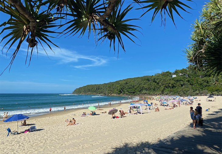 Noosa Main Beach