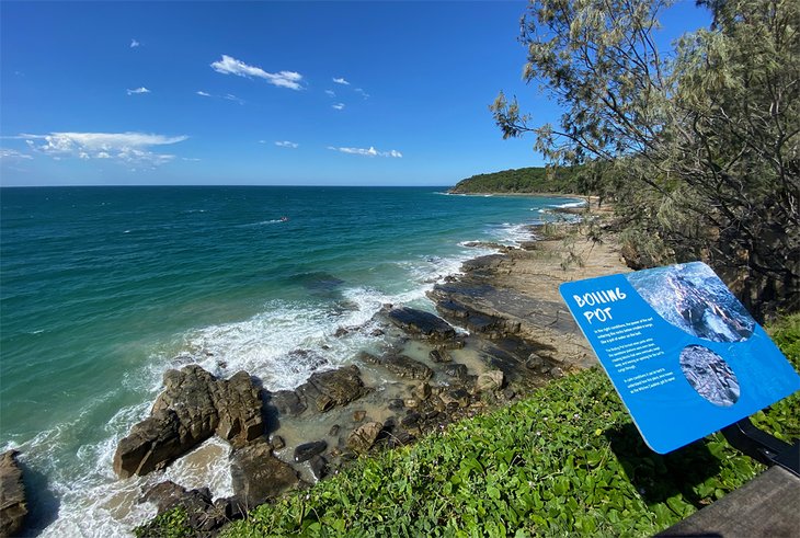 Boiling Pot lookout, Noosa National Park