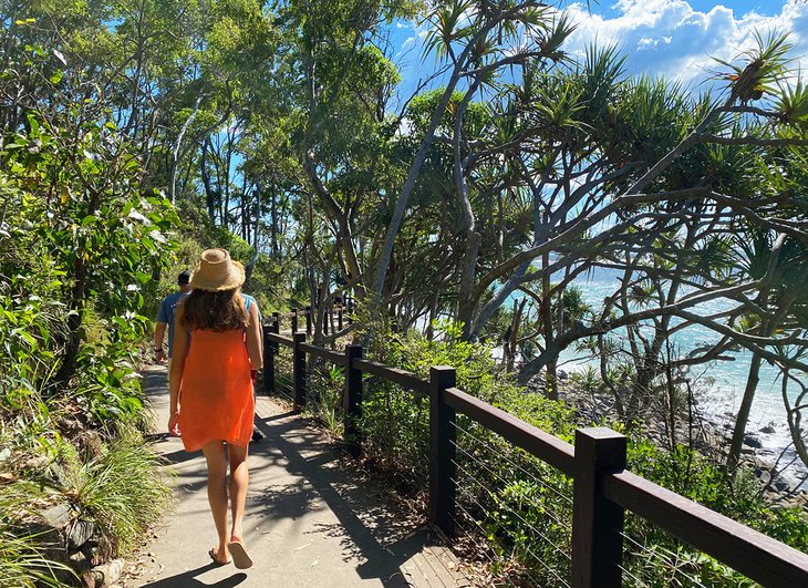 Hiking trail in Noosa National Park