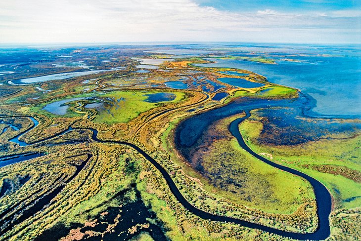 Aerial view of Wood Buffalo National Park