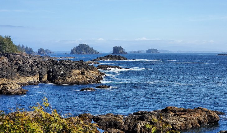 View along Wild Pacific Trail