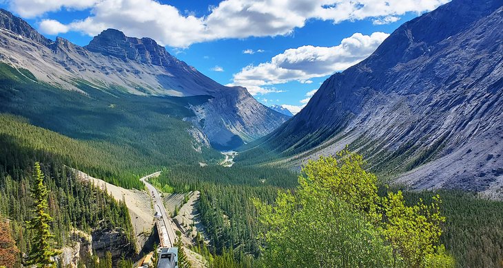 Looking along the Icefields Parkway
