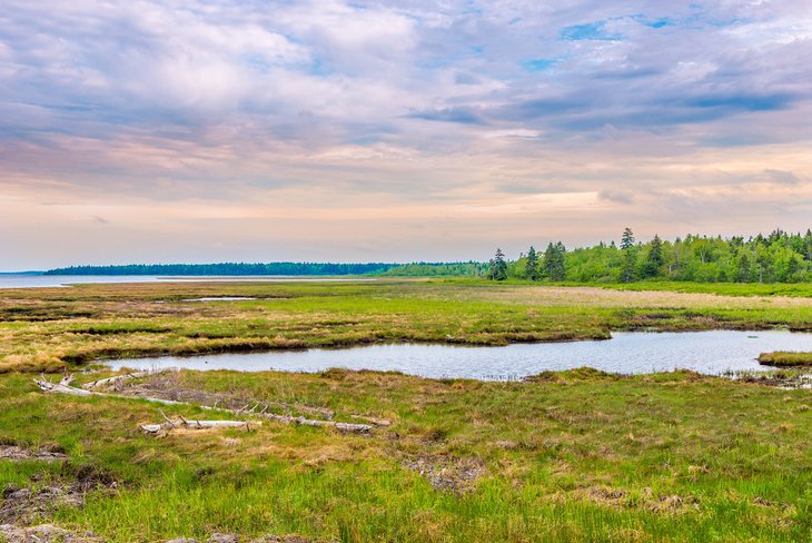 Kouchibouguac National Park