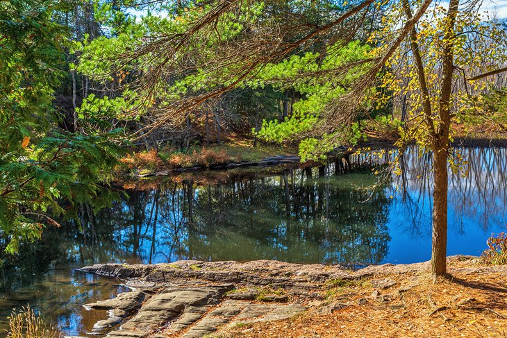 15 Top-Rated Ontario Parks: Exploring Ontario's Great Outdoors