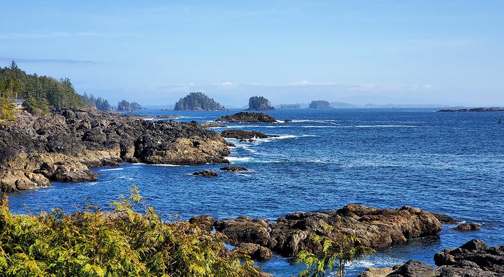 View from Lighthouse portion of Wild Pacific Trail