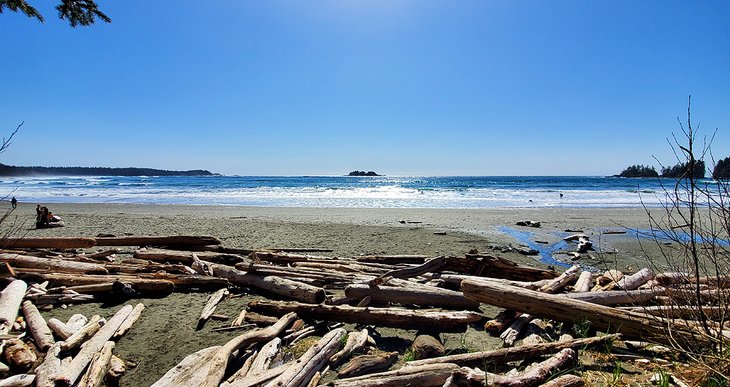 Beach on Florencia Bay