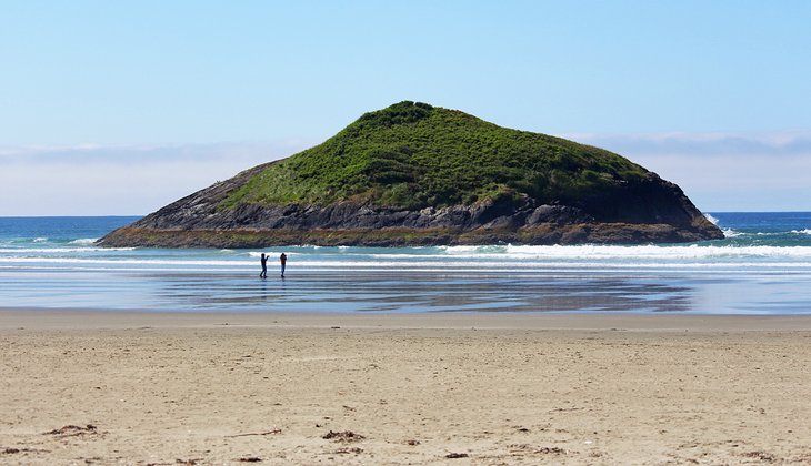 8 playas mejor valoradas en Tofino