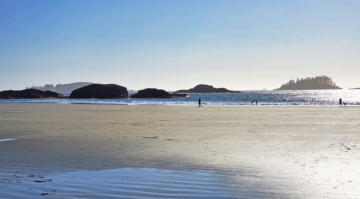 8 playas mejor valoradas en Tofino