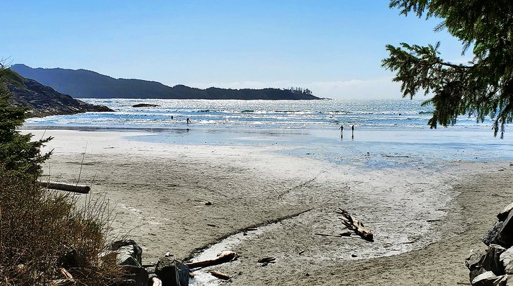 8 playas mejor valoradas en Tofino