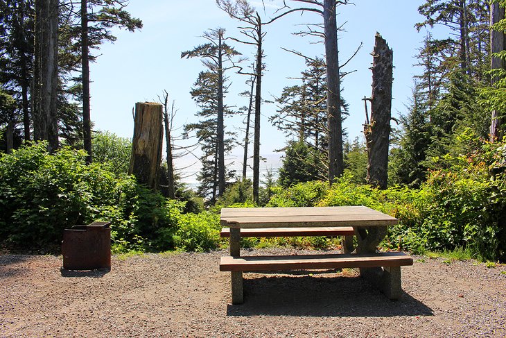 Ocean view from campsite in Green Point Campground