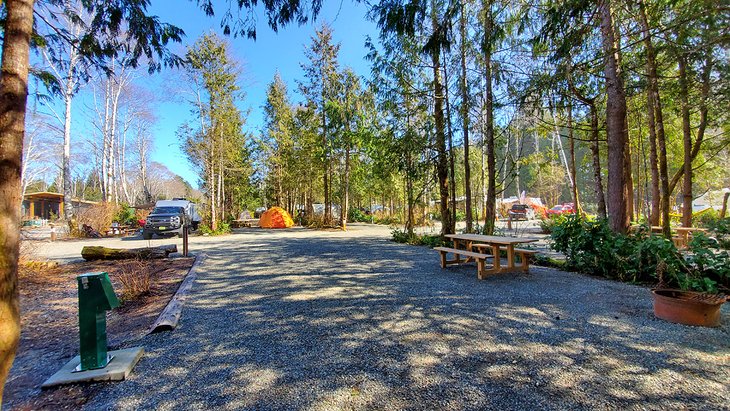 Surf Grove Campground, campsite