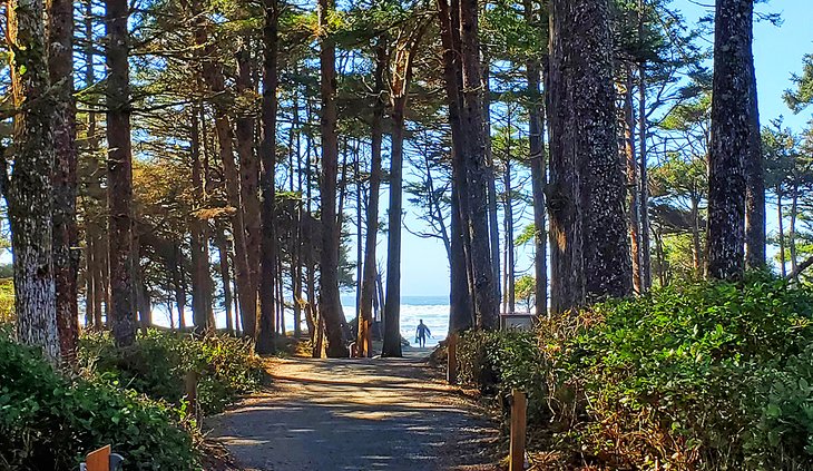 Beach access from Surf Grove Campground