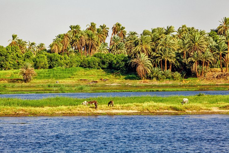 Nile scenery between Aswan and Luxor