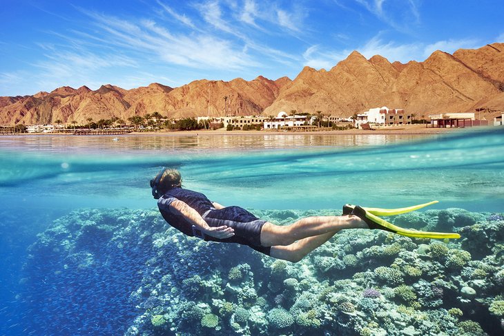 Free diver enjoying Dahab's coral reefs