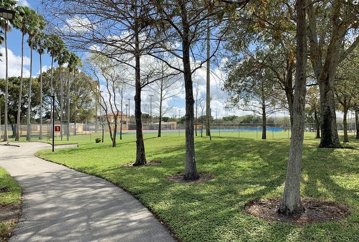 Cypress Hammock Park is filled with fun activities.