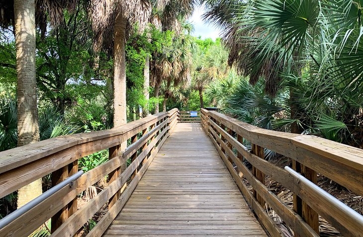 Boardwalk at the Wakodahatchee Wetlands