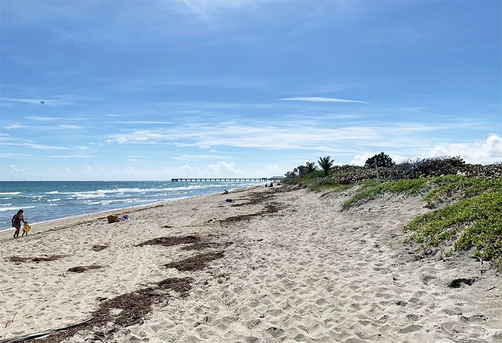 Dania Pier in the distance at Dania Beach