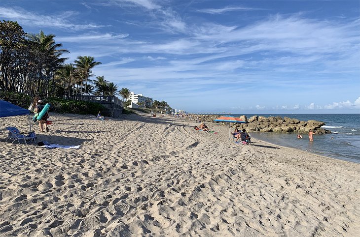 14 playas mejor valoradas en Fort Lauderdale, FL