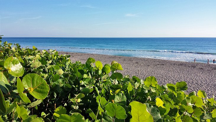 Juno Beach Park