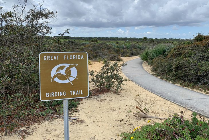Juno Dunes Natural Area is part of the Great Florida Birding Trail.