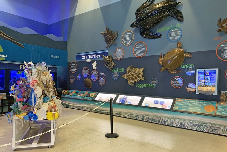 Exhibit at the Loggerhead Marinelife Center